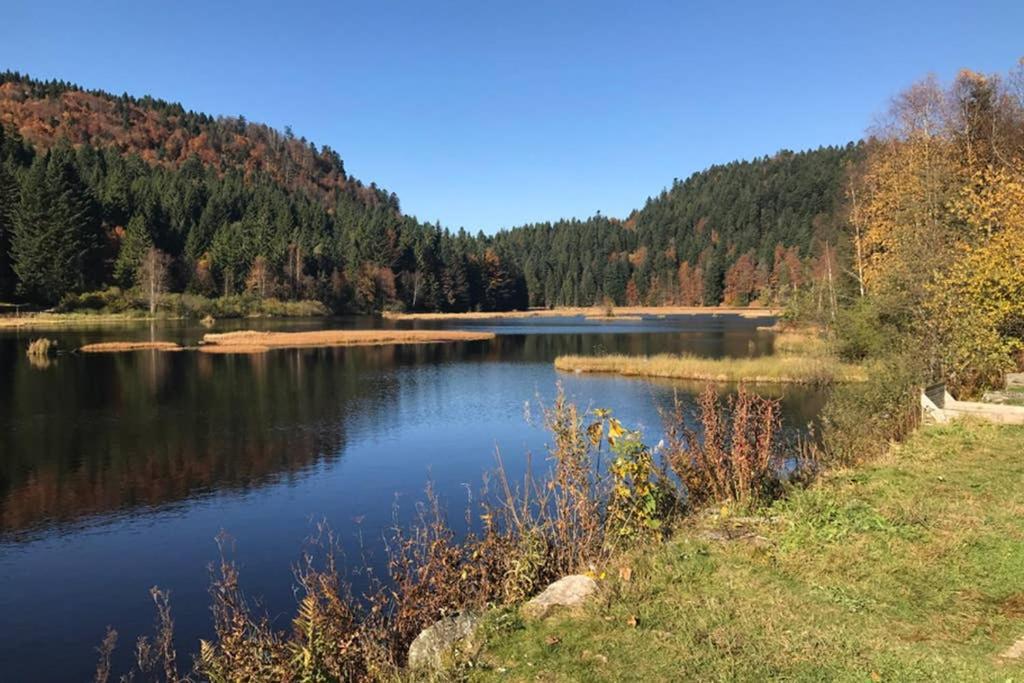 Lullaby House - Large, Full Comfort 5 Star Chalet House In The Vosges Ramonchamp Exteriör bild
